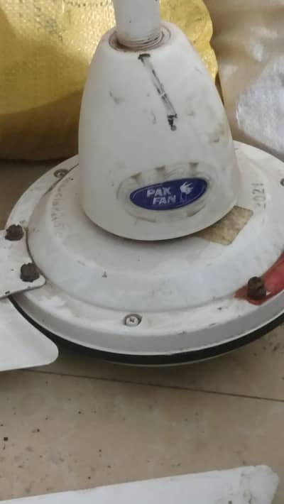 Pak Fan Original