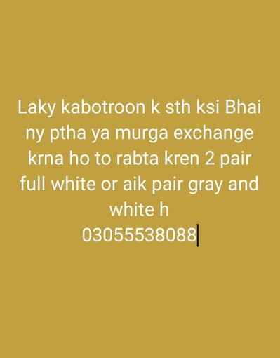 laky kabotroon k sth aseel murga ya ptha exchange krna h to rabta kren
