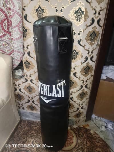 Everlast Punching Bag + Venum Gloves Set For Sale!
