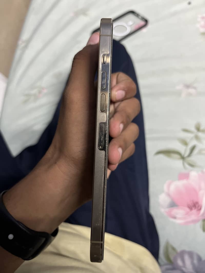 Apple iPhone 13 Pro Max 3