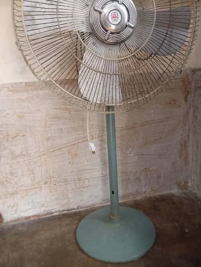Pedestal Fan For Sale