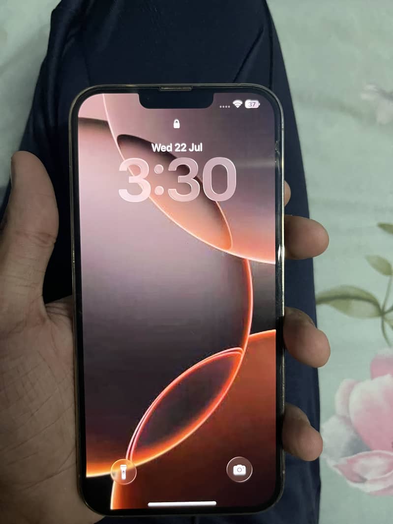 Apple iPhone 13 Pro Max 2