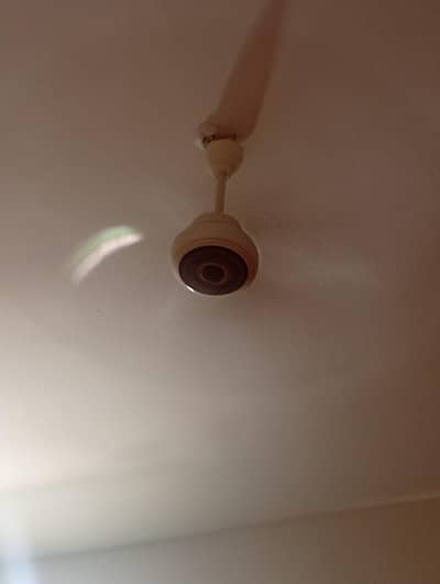 AC. . . DC. fan
