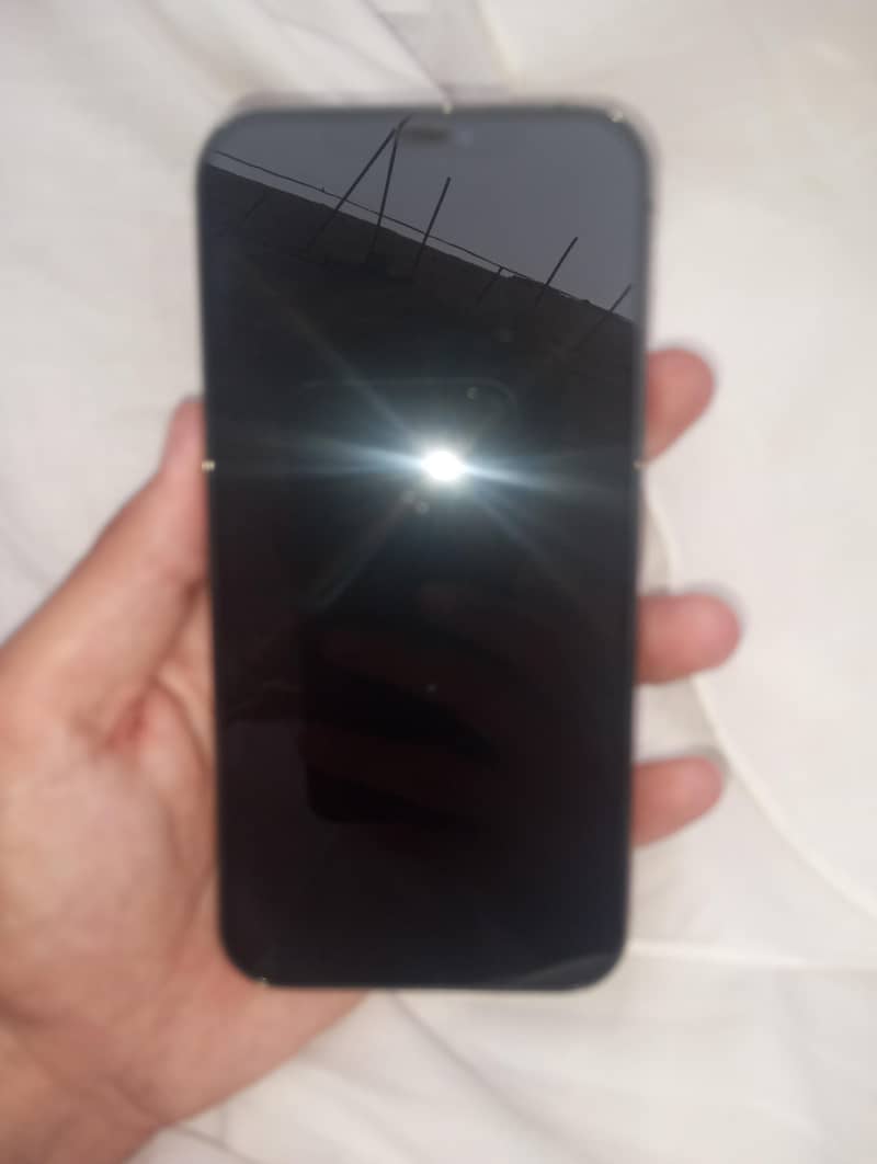 Apple iPhone 12 Pro Max 3