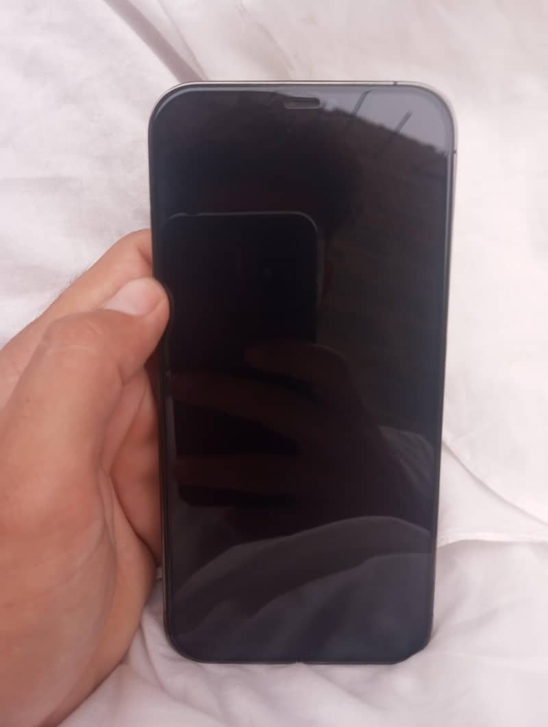 Apple iPhone 12 Pro Max 8