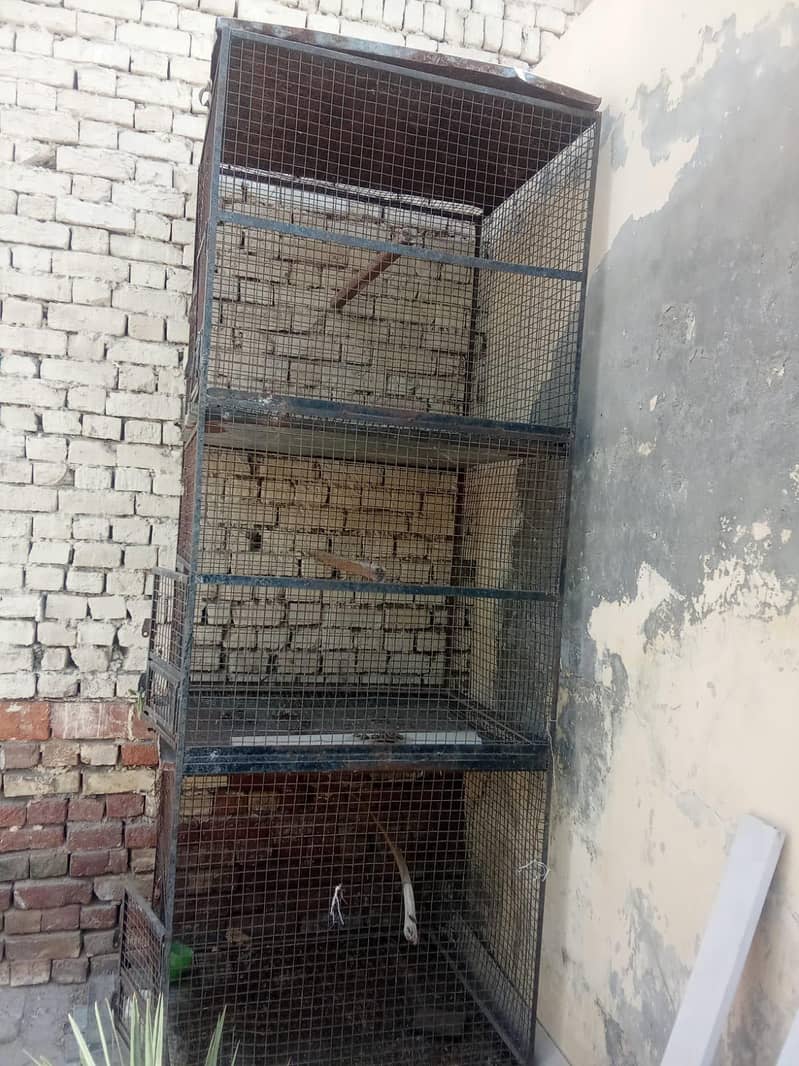 biggest hen cage 0