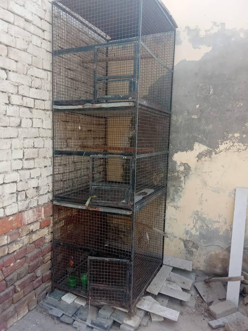 biggest hen cage 1
