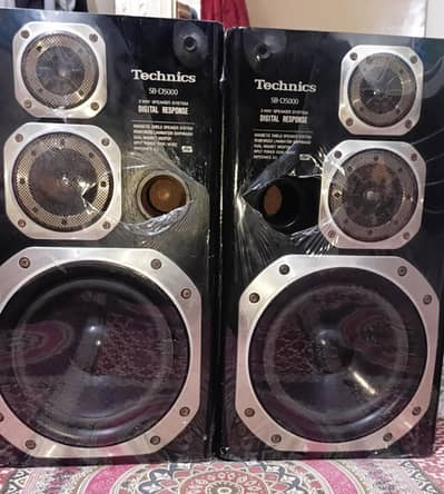 technics D5000 speakers