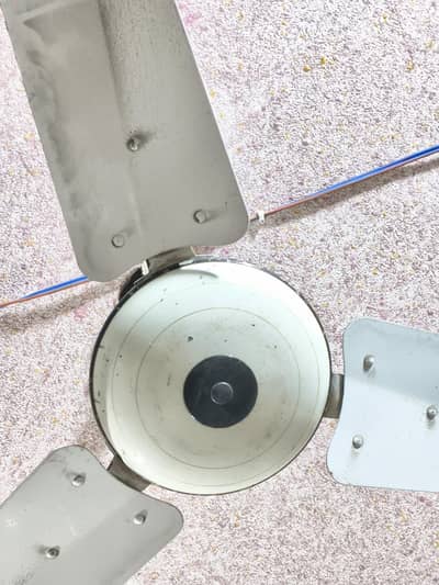 ceiling fan u