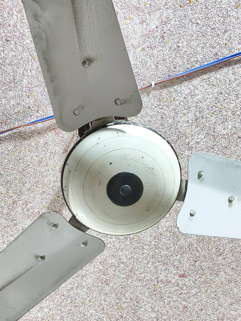 ceiling fan u 1