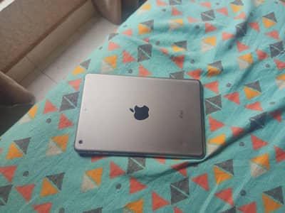 iPad mini 2