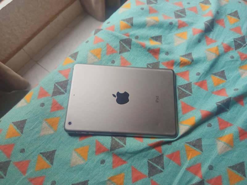 iPad mini 2 0