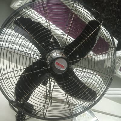 Royal jumbo wall Beacket Black Fan