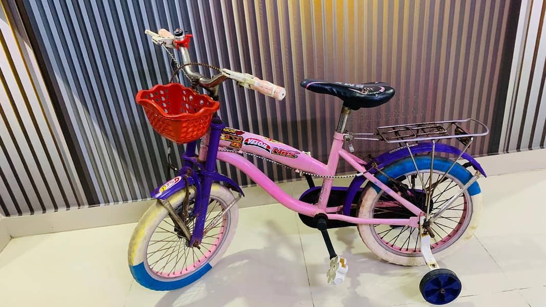 bicycle 2
