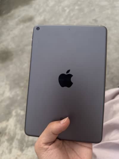ipad mini 5 purple