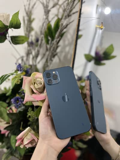 Apple iPhone 12 Pro Max