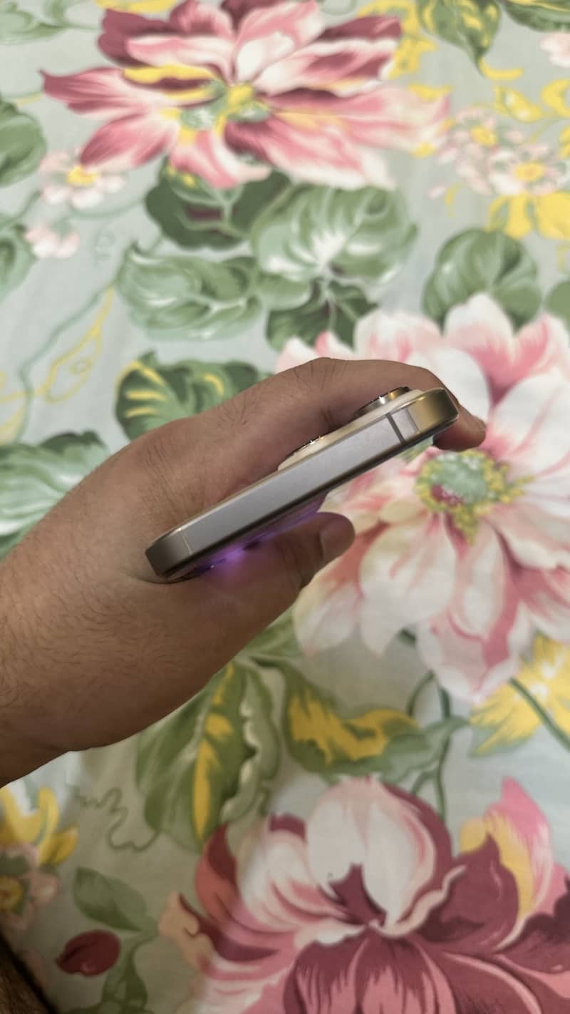 Apple iPhone 16 Pro Max 1