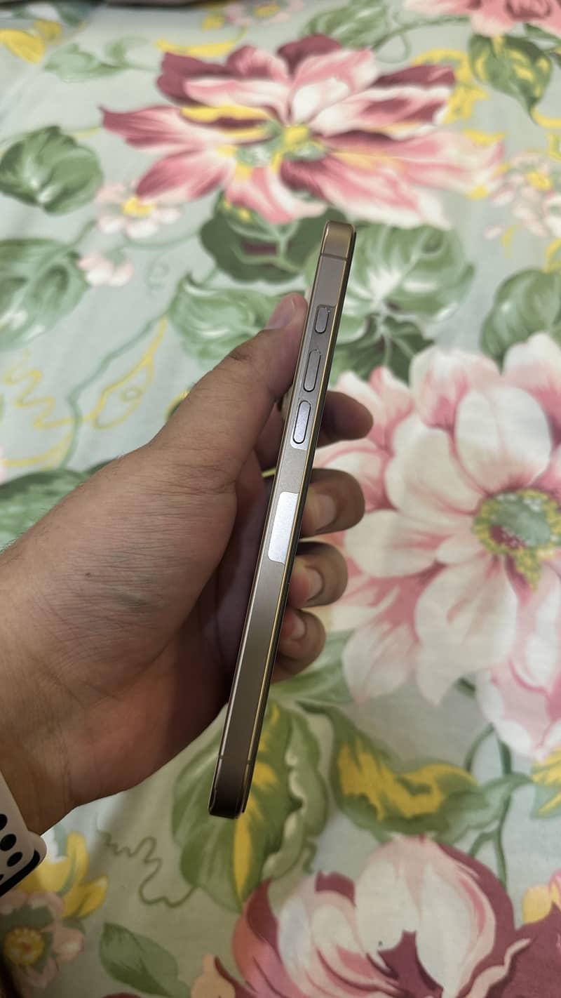Apple iPhone 16 Pro Max 3