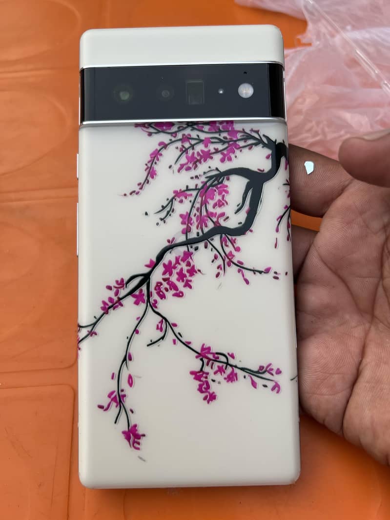 Google Pixel 6 Pro 0