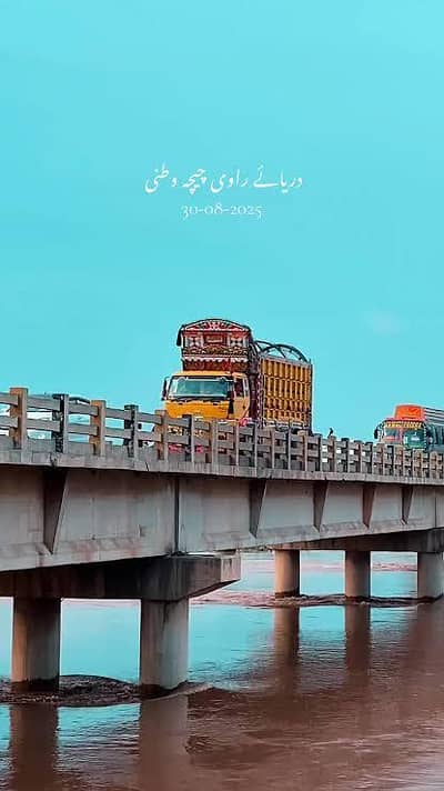 Need driver job