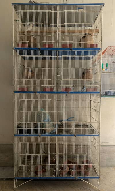 Parrot Cage