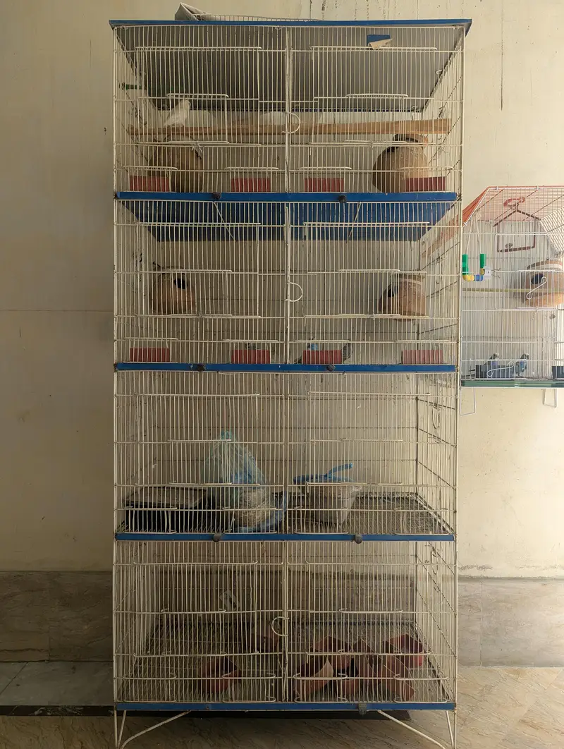 Parrot Cage — photo 2