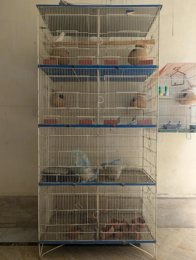Parrot Cage — photo 3