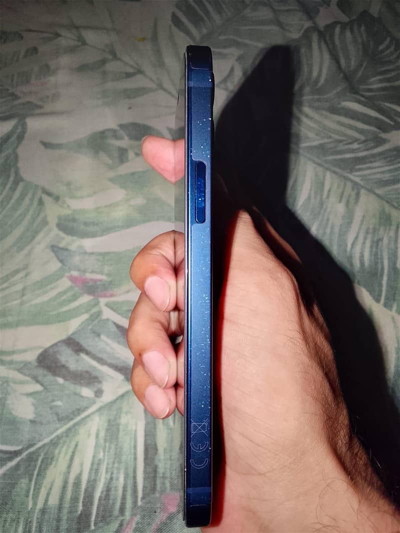 Apple iPhone 12 1