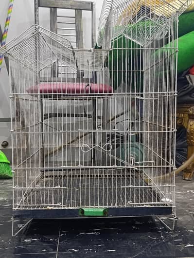 cage for parrots