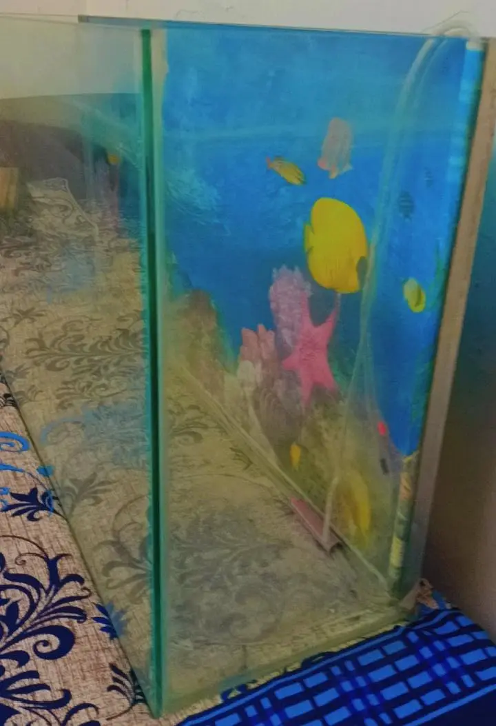Fish aquarium — photo 2