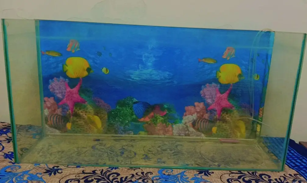 Fish aquarium — photo 3