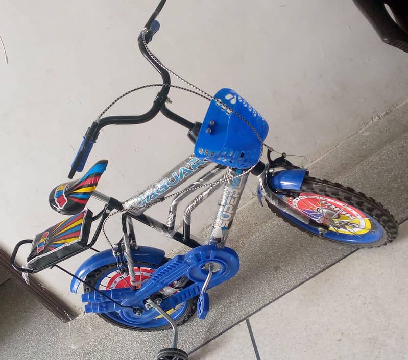 bicycle 0