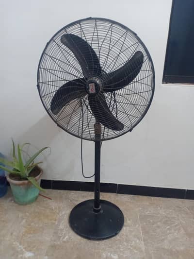 Pedestal Fan