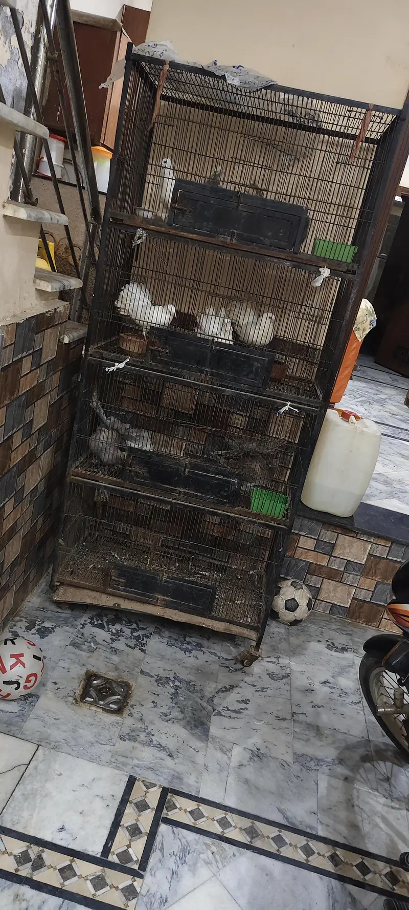 Branded cage 3*1.5 — photo 2