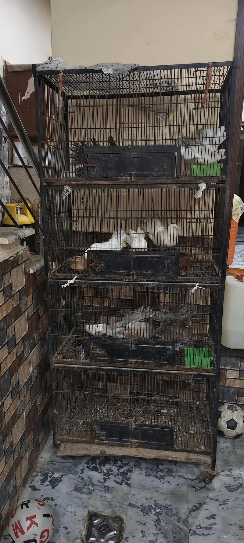 Branded cage 3*1.5 — photo 3