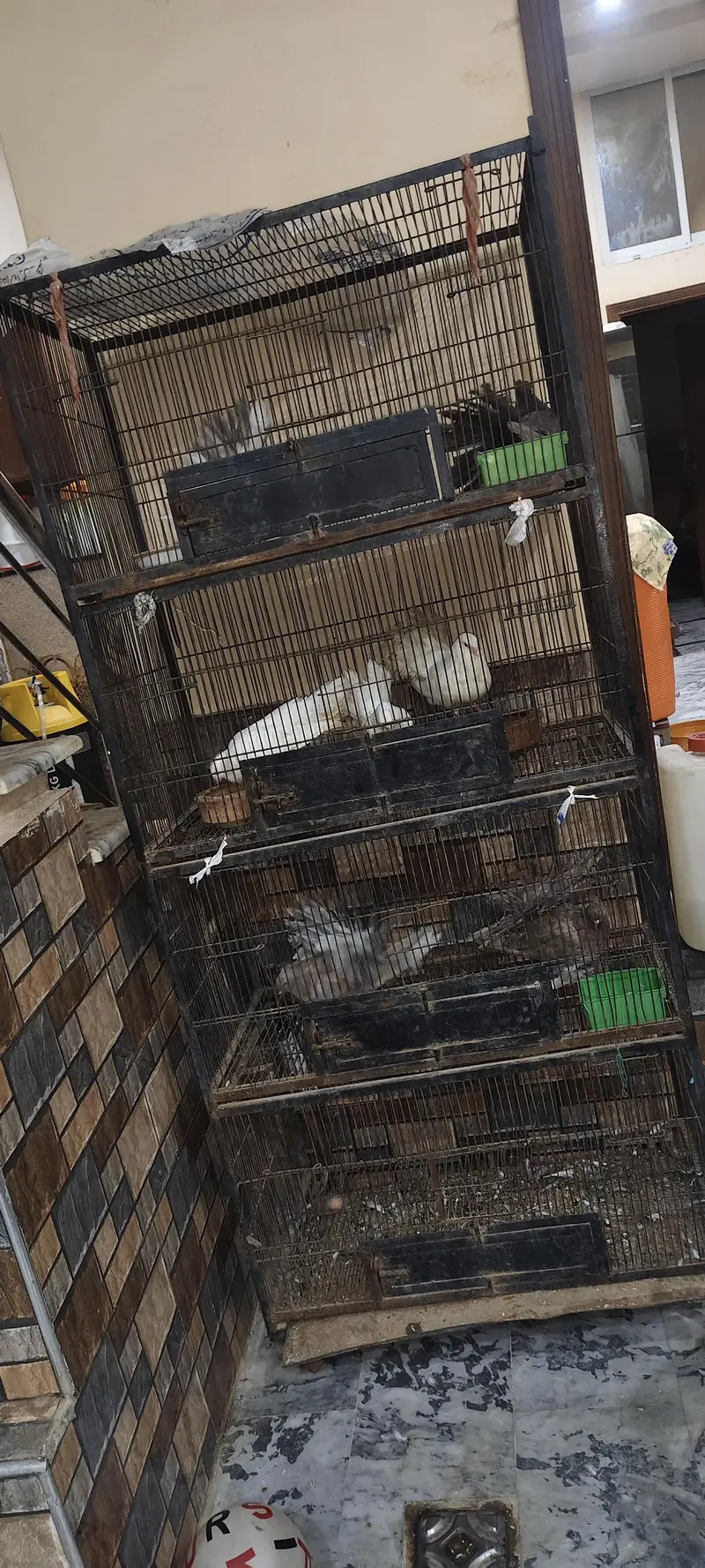 Branded cage 3*1.5 — photo 4