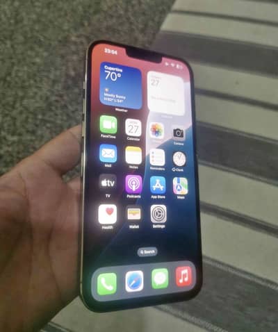 iPhone 13 Pro Max