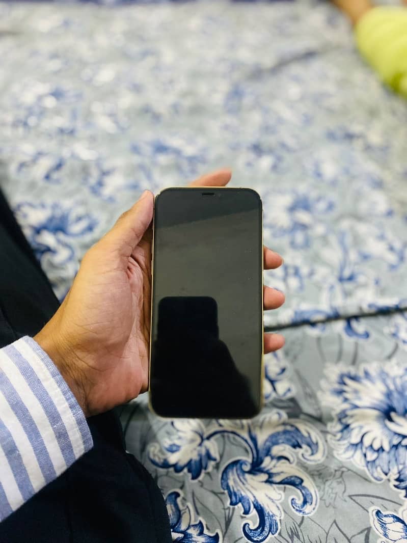 Apple iPhone 12 Pro 1
