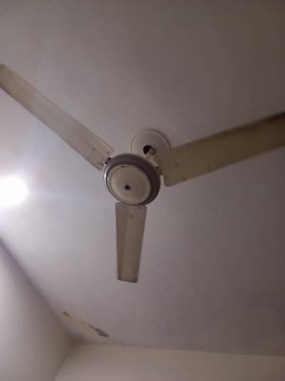 fans a
