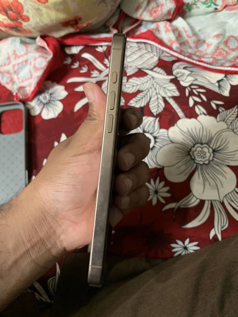 Apple iPhone 16 Pro Max 1