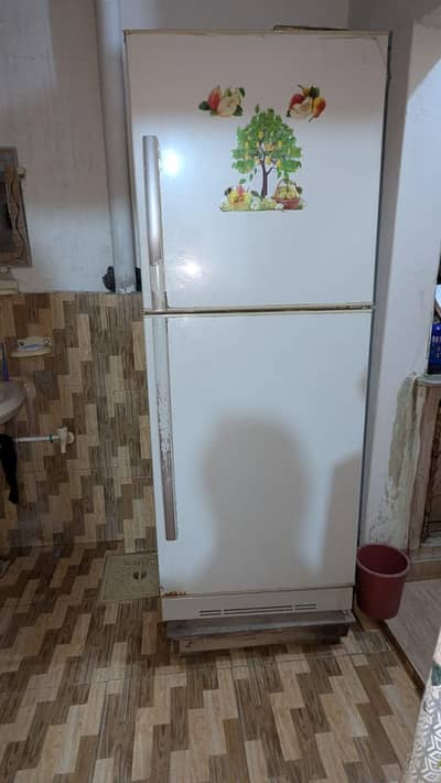 large size fridge