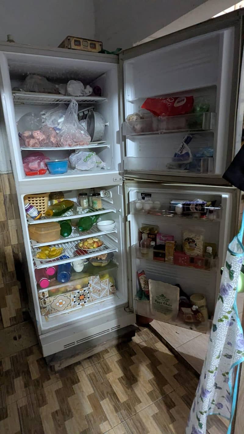 large size fridge 1