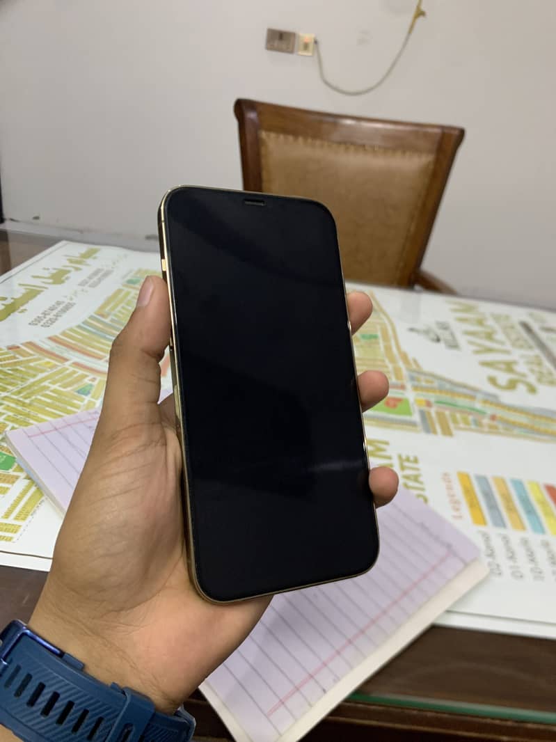 Apple iPhone 12 Pro Max 1