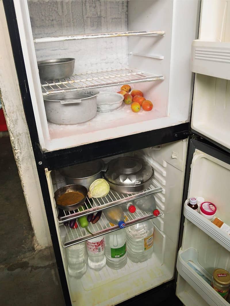 orient Fridge 5