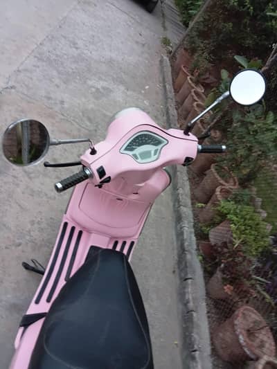 petrol scotey pink colour