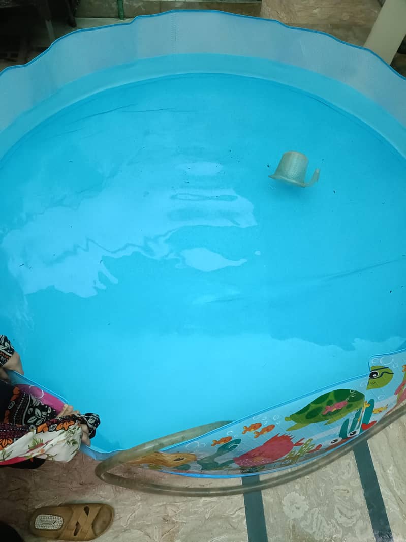 swimming pool 3