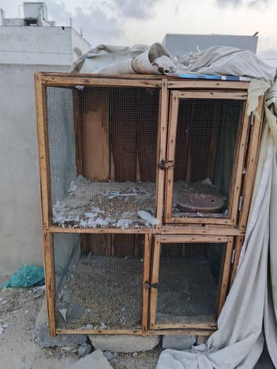 Pigeon and Hen cage