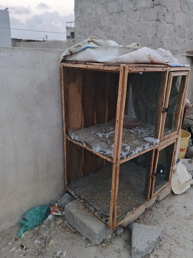 Pigeon and Hen cage — photo 2
