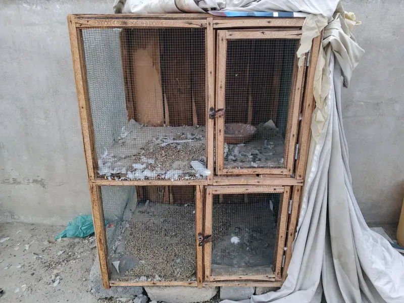 Pigeon and Hen cage — photo 3