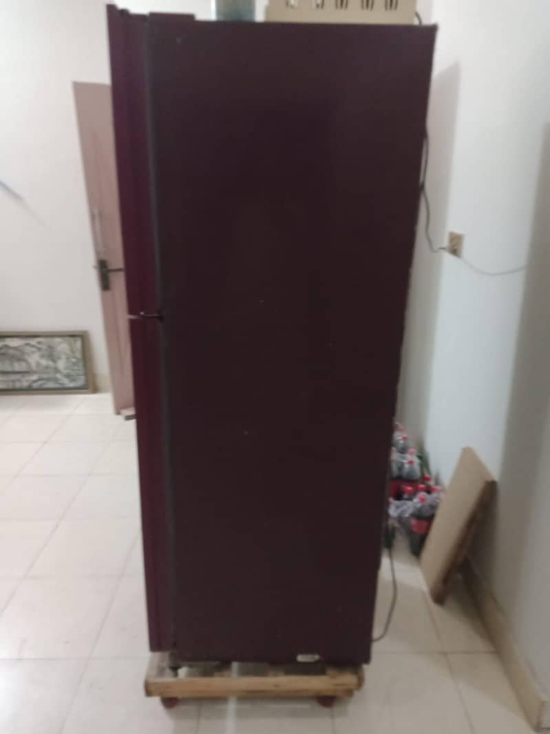 orient fridge 8